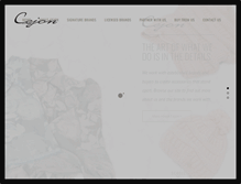 Tablet Screenshot of cejon.com